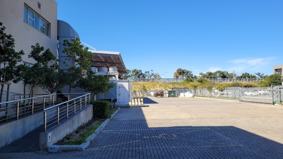 To Let commercial Property for Rent in Montague Park Western Cape